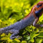 百乐博娱乐的安全性分析:如何保障玩家的资金安全 aaidop8u