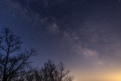 8号直播盛宴即将开启，精彩内容抢先看！