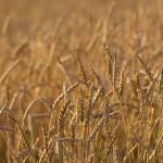 电子游艺中的心理学:玩家行为与游戏设计的关系 fysqmhq38