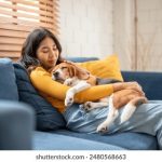 8体育直播吧:高清赛事畅享,热门体育一网打尽 t05e4xa9bz