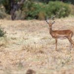 8开奖日即将揭晓,幸运大奖花落谁家? z6ge0j9c