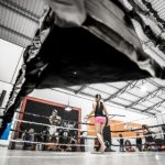 白金体育app使用指南:如何快速掌握各项功能与优势 zk5if4d