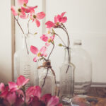 NBA篮球赛事高清直播FTP资源稳定下载 96e53aeam