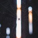 NBA篮球赛事精彩直播,尽在直播8火热呈现! o2h1zk